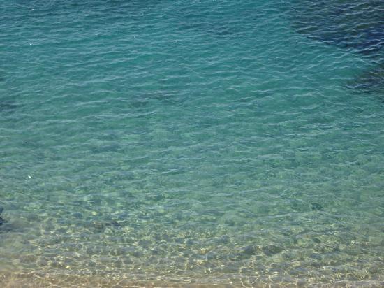 Berremo l'acqua del mare?