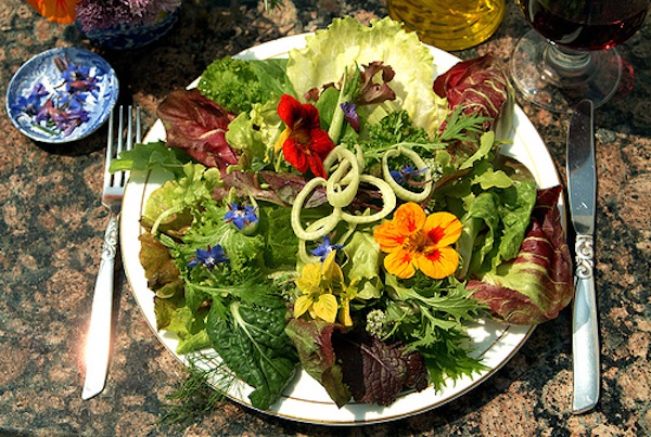 Secondo piatto: primule e insalata o pollo con le primule.