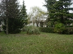 Il Comune le vieta il giardinaggio