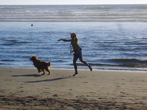 Vacanze con il cane