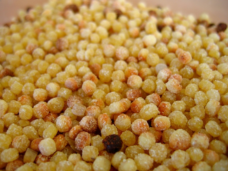 Fregula