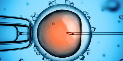 fecondazione in vitro